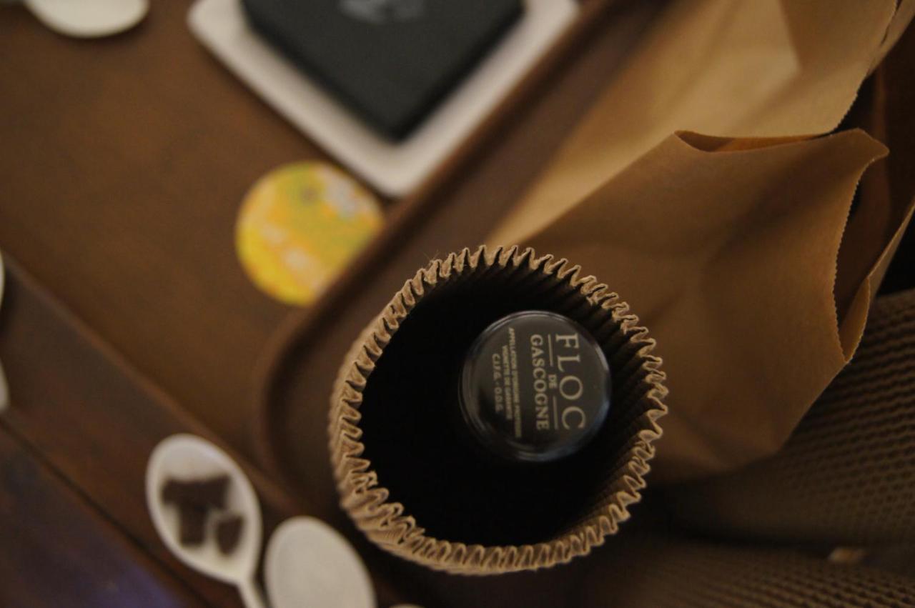 Chateau De Mons Armagnac Caussens エクステリア 写真
