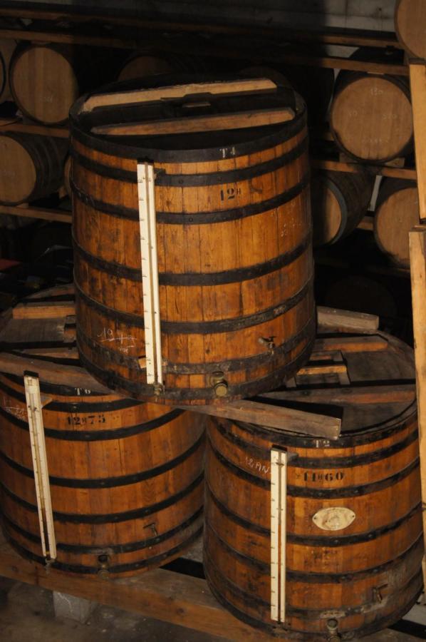 Chateau De Mons Armagnac Caussens エクステリア 写真