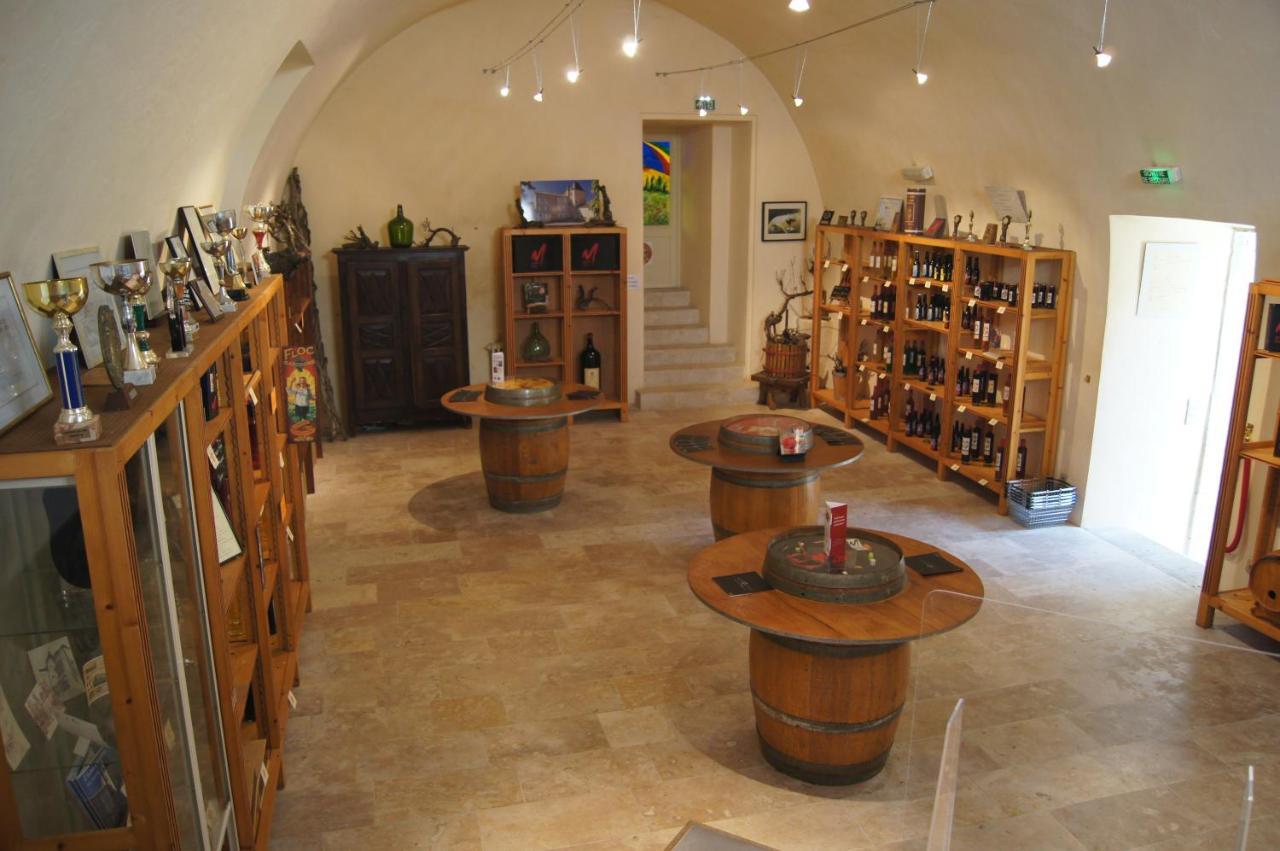 Chateau De Mons Armagnac Caussens エクステリア 写真
