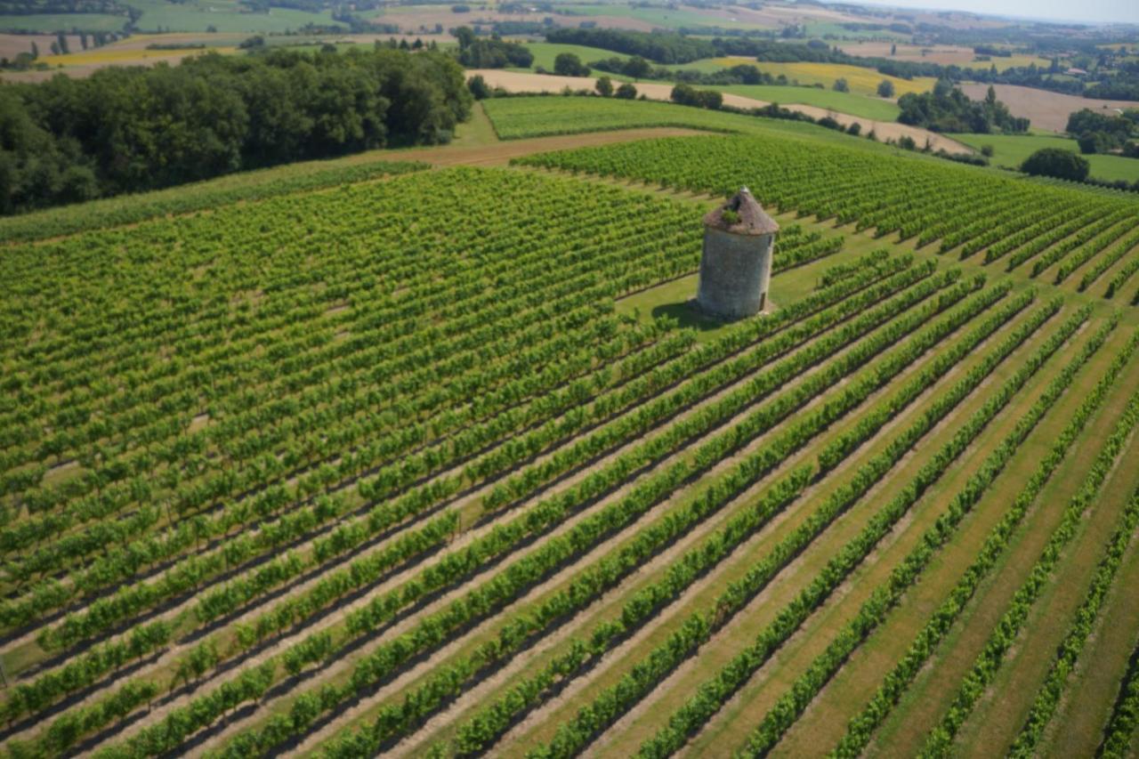 Chateau De Mons Armagnac Caussens エクステリア 写真
