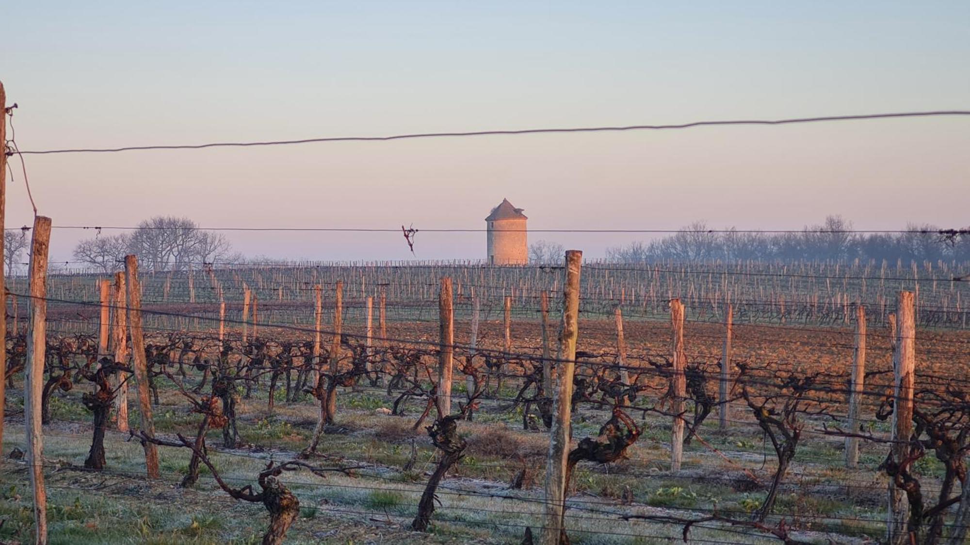 Chateau De Mons Armagnac Caussens エクステリア 写真