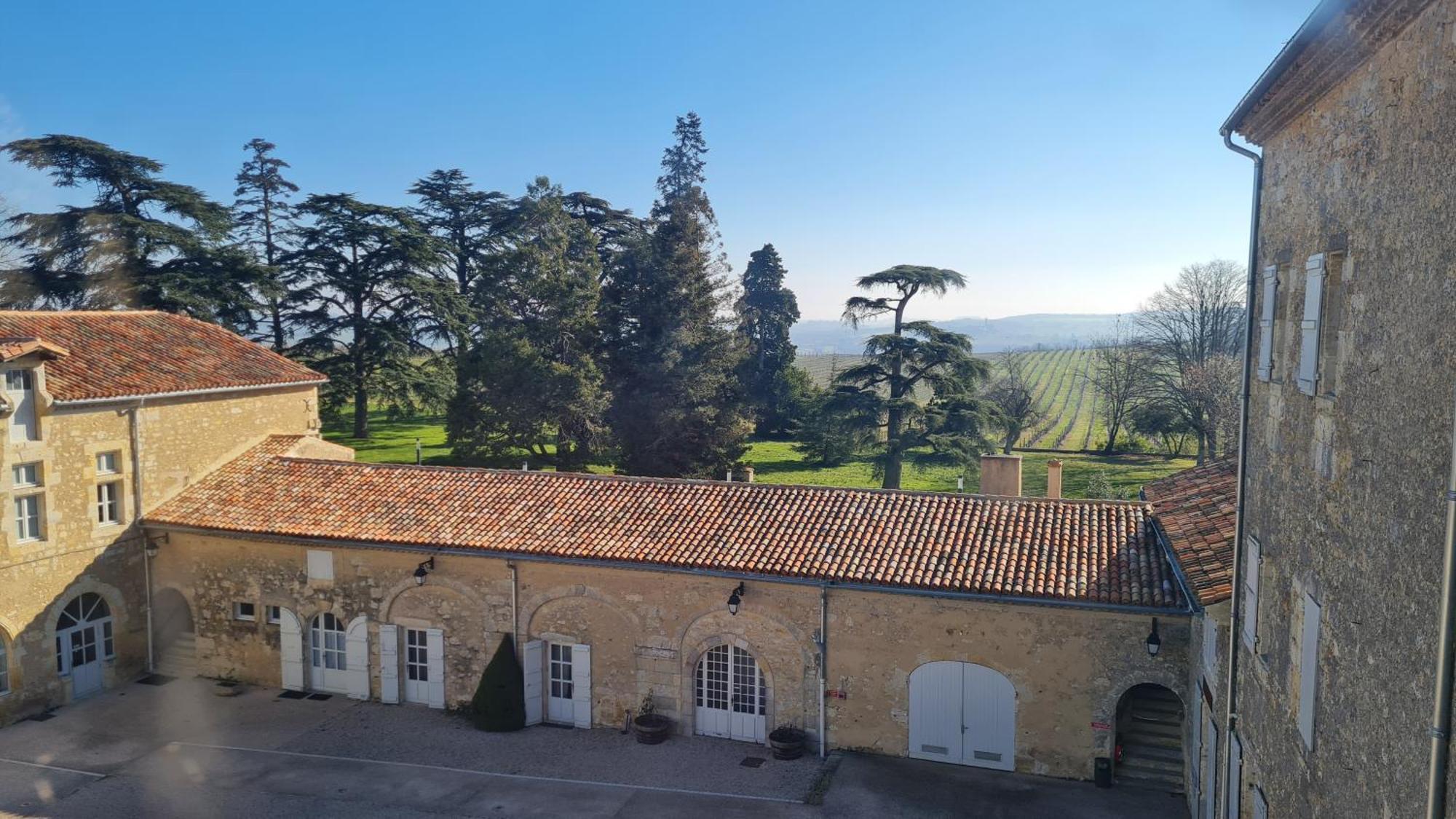 Chateau De Mons Armagnac Caussens エクステリア 写真